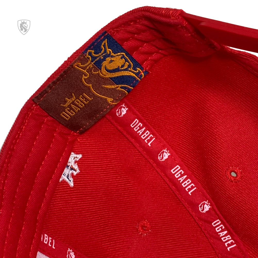 Native Script Oval Snapback Hat