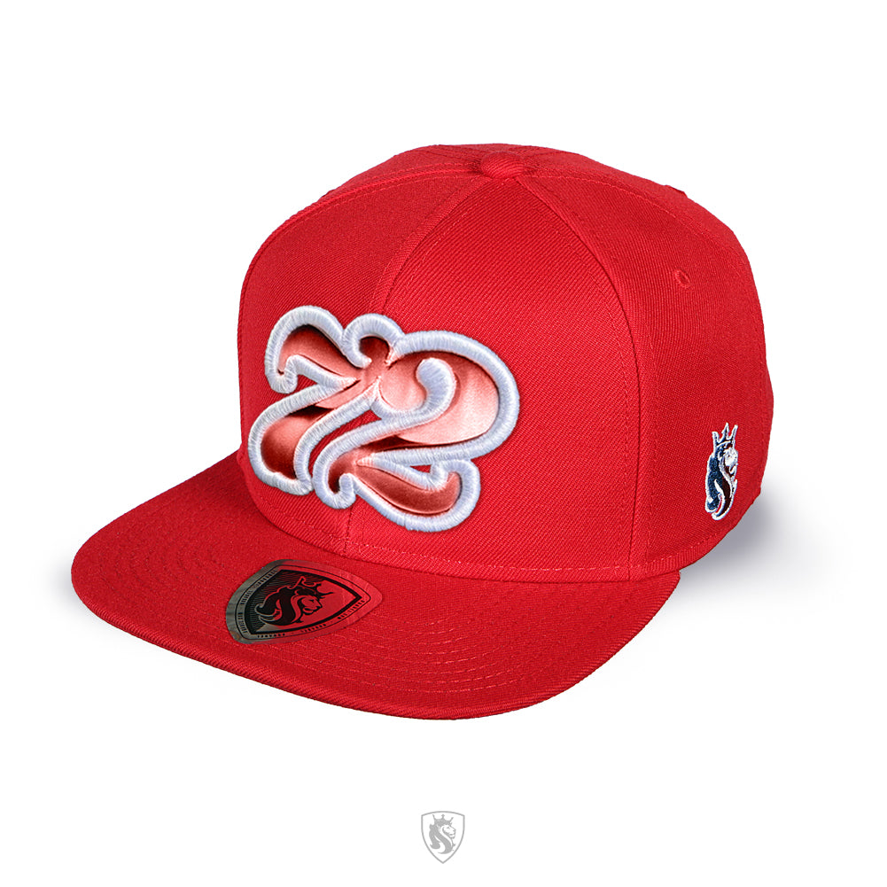 2 Digit Year Classic Snapback Hat